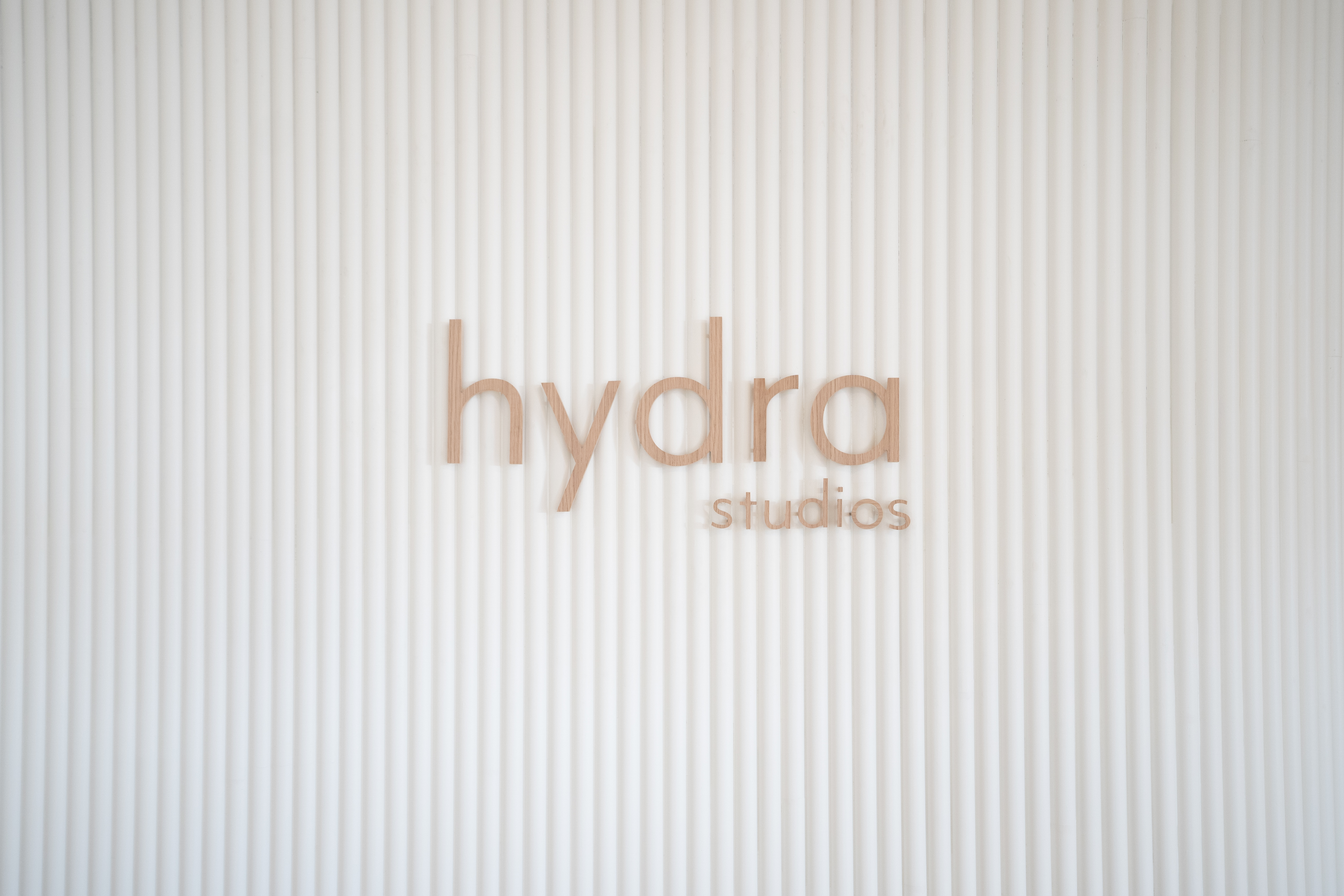 HYDRA STUDIOS FIDI